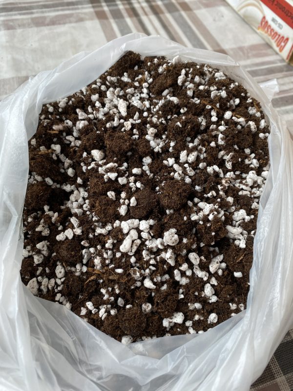 Mix za biljke mesozderke 3l
